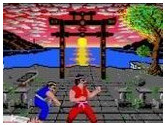 International Karate Plus - Nintendo Game Boy Advance
