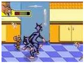 Tom and Jerry - The Magic Ring - Nintendo Game Boy Advance
