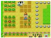 Harvest Moon - Friends of Mineral Town | RetroGames.Fun