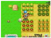 Harvest Moon - More Friends of… - Nintendo Game Boy Advance