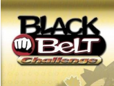 Black Belt Challenge - Nintendo Game Boy Advance