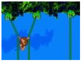 Tarzan - Nintendo Game Boy Color