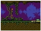 Tomb Raider - Nintendo Game Boy Color