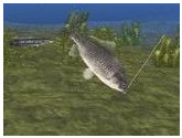 Reel Fishing II | RetroGames.Fun