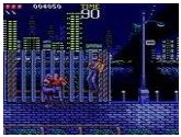 Ninja Gaiden - Sega Genesis