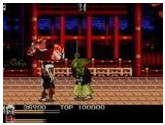 Mystical Fighter - Sega Genesis