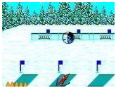 Winter Olympics - Lillehammer '94 | RetroGames.Fun