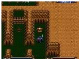 Brandish - Nintendo Super NES