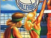 Volleyball Twin - Nintendo Super NES