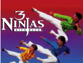 3 Ninjas Kick Back | RetroGames.Fun
